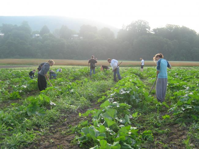 Basin Farm in Bellows Falls, VT